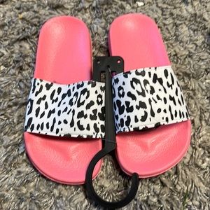 Arizona cheetah slides